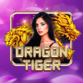 jil29 game Dragon Tiger